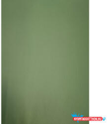  Karton kétoldalas (50x70) 225g Moss/moha zöld (6369) (BAR_023300245)