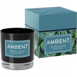 BISPOL Ambient Tropical Island gyertya üvegben, 170g (sn81-095-278)