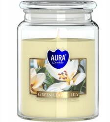 AURA Bispol Green Leaves Liliom gyertya üvegben, fedővel, 500g, 100 órás égési idő (snd99-354)