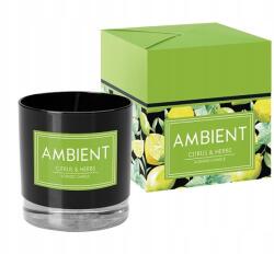 BISPOL Ambient Citrus & Herbs gyertya üvegben, 170g (SN81-095-277)