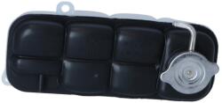 NRF Vas de Expansiune Racire MERCEDES-BENZ C-CLASS/C-CLASS T-Model/CLK/G-CLASS (454037)