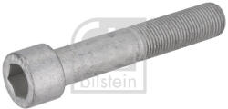 FEBI Surubul de Fixare a Discului de Frana Spate (m16x1 5x65 Lungime Filet 46mm) Ford Cargo Ii F-max 09.15- FORD CARGO 2 (FE195479)