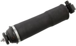 FEBI Amortizor Cabina Fata Rvi C K T Tbh Tracer Volvo Fm Fm Ii Fm Iii Fmx Ii Fmx Iii 01.77- RENAULT TRUCKS C/K/T (FE106248)
