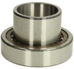 DT SPARE PARTS Rulment Ax Cardan (fata 55/100x62mm (7.32506)