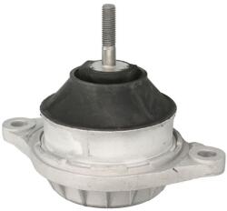 REINHOCH Suport Motor Fata Dreapta/Stanga Hidraulic Audi 100 C2 100 C4 200 C2 200 C3 80 B4 90 B3 A6 C4 Coupe B3 1.9-2.5d (RH11-0183)