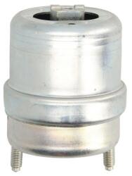 REINHOCH Suport Motor Fata Dreapta Hidraulic Vw Transporter T4 1.9d-2.8 07.90-06.03 VW TRANSPORTER T4 (RH11-0129)