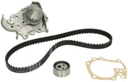 INA Kit Set Distributie (curea + Intinzator + Pompa de Apa) Renault 19 I 19 Ii Megane I Megane I Classic Megane I Coach (530001830)