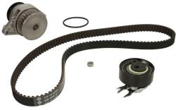 INA Kit Set Distributie (curea + Intinzator + Pompa de Apa) Seat Cordoba Cordoba Vario Ibiza Ii Inca Skoda Felicia I (530016730)