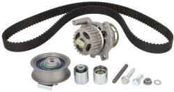 HEPU Kit Set Distributie (curea + Intinzator + Pompa de Apa) Audi A1 A3 A4 B6 A4 B7 A6 C6 Tt Seat Altea Altea Xl Exeo Exeo (HEPPK05870)
