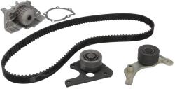 INA Kit Set Distributie (curea + Intinzator + Pompa de Apa) Citroen Berlingo Evasion Jumper I Jumpy I Xantia Xsara Zx Fiat (530009631)