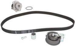 INA Kit Set Distributie (curea + Intinzator + Pompa de Apa) Audi A3 Tt Seat Alhambra Leon Toledo Ii Skoda Octavia I Vw Bora (530034430)