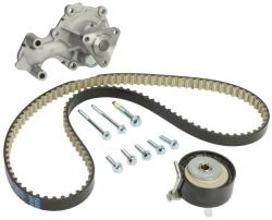 DAYCO Kit Set Distributie (curea + Intinzator + Pompa de Apa) Ford B-max C-max Ii Ecosport Fiesta Vi Fiesta Vii Focus Iii (DAYKBIOWP020)