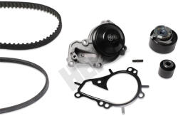 HEPU Kit Set Distributie (curea + Intinzator + Pompa de Apa) Ds Ds 3 Ds 4 Citroen C3 Ii C3 Picasso C4 Cactus C4 Grand (HEPPK09091)