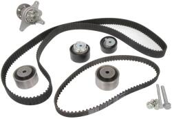 HEPU Kit Set Distributie (curea + Intinzator + Pompa de Apa) Citroen C5 Iii C6 Peugeot 407 607 2.7d 12.04- CITROEN C5 3/C6 (HEPPK08090)