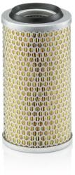 MANN-FILTER Filtru de Aer C13131 (C13131)