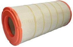 FILTRON Filtru Aer Daf Db 250 Bova Fhd 10 Fhd 12 Fhd 13 Fld 12 Fld 13 Fhd 12 Fhd 13 Fhd 14 Magnum Fld 15 Magnum Fld 15 Magnum (AR350/3)