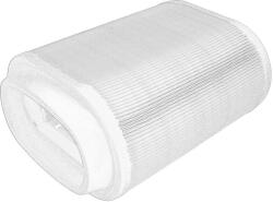 AGCO Filtru Habitaclu Polen (element Filtrant) Fendt 1038 Vario 1042 Vario 1046 Vario 1050 Vario 930 Vario 933 Vario 936 (H530811140621-AGCO)