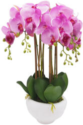  Gumi orchidea (Cserepes) - Lila #1