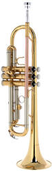  Trompeta Startone STR-25 Bb (188681)