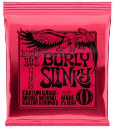  Corzi Chitara Electrica Ernie Ball 2226 (458983)