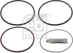 FEBI BILSTEIN Set Garnituri, Bucsa Cilindru 11758 Volvo 7300/8500/8700/9700/9900/B12/F12/Fh/Fm (11758)