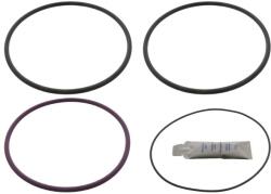 FEBI Set Garnitura pentru Garnitura Volvo 7300 8500 8700 9700 9900 B12 F12 Fh Fh Ii Fh Iii FH12 FL12 Fm Fm Ii FM12 Fmx Fmx (FE11758)
