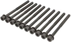 REINZ Set de Suruburi pentru Capul Cilindrului Citroen C4 Aircross Fiat Fullback Mitsubishi Asx Eclipse Cross L200 L200 (14-13365-01)