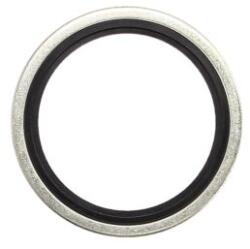 HYVA Etansarea Cuplajului Hidraulic Cauciuc / Metal - 5/8" (vulcanizat (01206849)