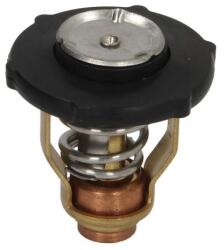 SIERRA Termostat al Sistemului de Racire (18-3641)