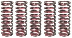 TRW Set Arcuri Ambreiaj Honda Cbr 1000 2004-2007 HONDA CBR (MEF315-5)