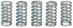 TRW Set Arcuri Ambreiaj (ranforsat) Honda Cr Crf Xlv 125-750 1979-2017 HONDA CR/CRF/XLV (MEF159-5)