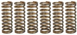 TRW Set Arcuri Ambreiaj Honda Crf 450 2002-2009 HONDA CRF (MEF341-6)