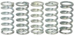 FERODO Set Arcuri Ambreiaj Cagiva Mito 50 1998-2000 CAGIVA Mito (FSS0507)