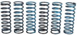 TRW Set Arcuri Ambreiaj Bmw F 650/700/800 2004-2018 BMW F (MEF313-6)