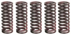 TRW Set Arcuri Ambreiaj Kawasaki Kx 125/250 2003-2022 KAWASAKI KX (MEF312-5)