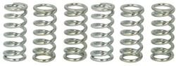 TRW Set Arcuri Ambreiaj (ranforsat) Honda Cb Cm Cmx Cr Ft Vt Xl Xr Suzuki Gs Gsx Rm Ts Triumph Adventurer America (MEF115-6)