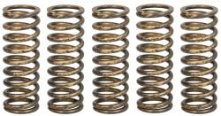 TRW Set Arcuri Ambreiaj Honda Crf 250 2018-2022 HONDA CRF (MEF344-5)