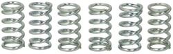 TRW Set Arcuri Ambreiaj (ranforsat) Honda Gl Kawasaki En Er Er-6f Er-6n Gpx Gpz Gt Kdx Kle Klr Kz Vn W Z Zr Zx Zxr 200-1000 (MEF110-6)