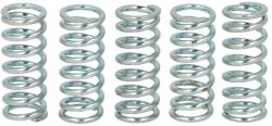 FERODO Set Arcuri Ambreiaj Yamaha Dt FS1 Fzr Rd Rs Tdr Tt-r Ty Tzr Wr Xt Yfs Yz 50-600 1974-2007 YAMAHA DT/FS1/FZR/RD/RS/TDR/TY (FSS0206)