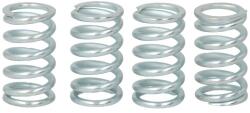 TRW Set Arcuri Ambreiaj (ranforsat) Honda Cbx Suzuki Dr Gr Gsx Gsx-r Ls Vs 550-1100 1982-2003 HONDA CBX SUZUKI DR/GR/GSX/LS (MEF126-4)
