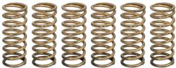 TRW Set Arcuri Ambreiaj Aprilia Tuono 1100 2015-2020 APRILIA Tuono (MEF339-6)