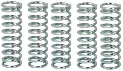 TRW Set Arcuri Ambreiaj (ranforsat) Honda Cb Cbr Vtr Suzuki Gs 500/1000/1100 1989-2011 HONDA CB/CBR/VTR SUZUKI GS (MEF144-6)