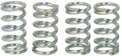 TRW Set Arcuri Ambreiaj (ranforsat) Ccm Ds Honda Cb Cr Crm Mtx Trx Xl Xr Kawasaki Bj El Ex Gpx Gpz Klf Zzr Suzuki Xf 85-650 (MEF104-4)