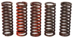 TRW Set Arcuri Ambreiaj Yamaha Mt-03 Xt 660 2004-2009 YAMAHA MT-03/XT (MEF321-5)