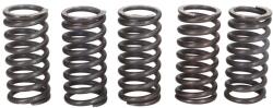 TRW Set Arcuri Ambreiaj Husqvarna Sm Suzuki Gz Vl Triumph Adventurer Daytona Legend Sprint Street Triple Thunderbird Tiger (MEF121-5)
