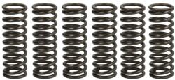 TRW Set Arcuri Ambreiaj Suzuki Lt-r 450 2006-2012 SUZUKI LT-R (MEF308-6)