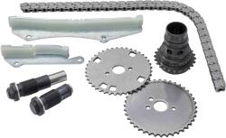 BORG WARNER Chit Lant de Distributie (lant + Pinion) Iveco Daily Vi 3.0cng 03.14 (59007150005)