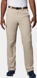 Columbia Silver Ridge Cargo Pant D