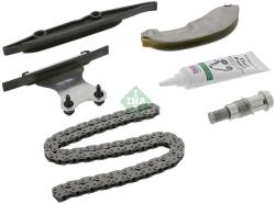 Schaeffler INA chit lant de distributie Schaeffler INA 559 1007 21 (559 1007 21)