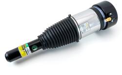 Arnott Brat arc pneumatic Arnott ASE-4379 (ASE-4379)